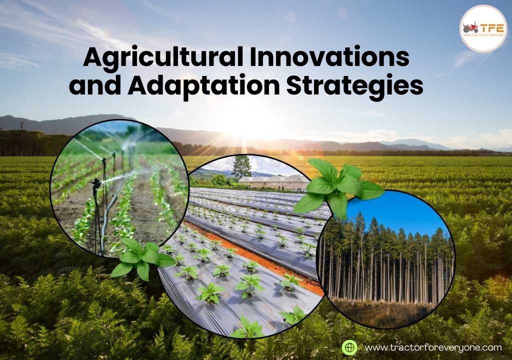 Agricultural Innovations and Adaptation Strategies